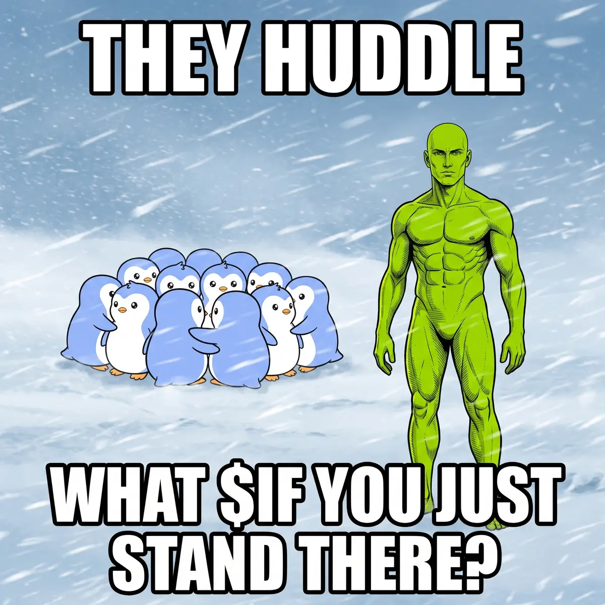 Pengu huddle