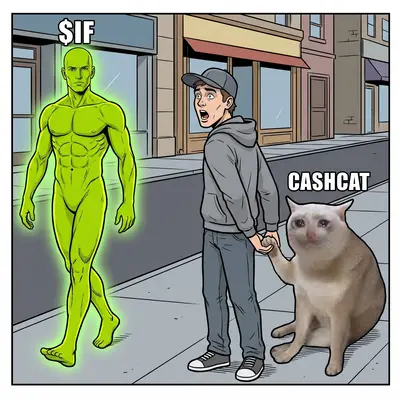 Distracted cashcat