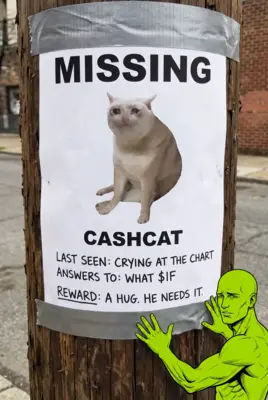 Missing cashcat